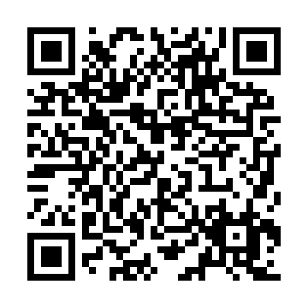 QR code for Z409R