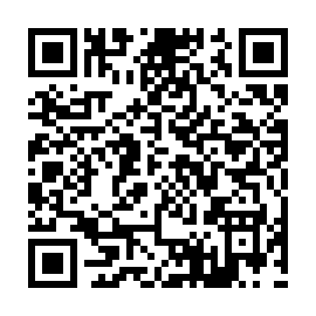 QR code for Z413K