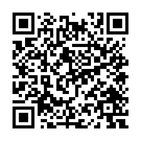 QR code for Z416T