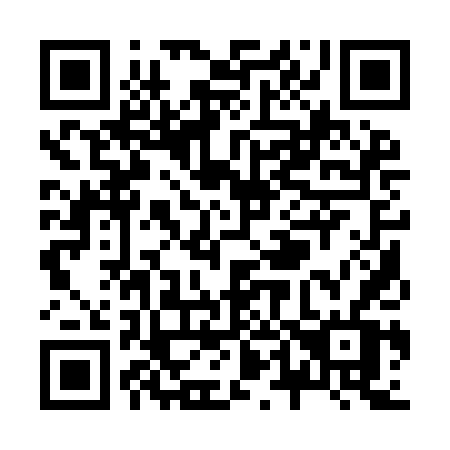 QR code for Z419DV