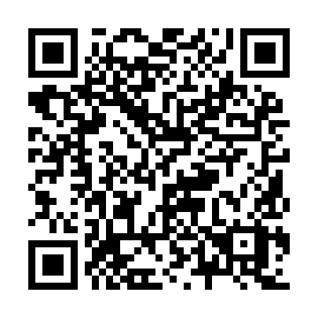 QR code for Z419IX