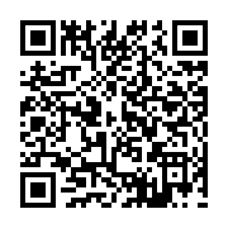 QR code for Z419T
