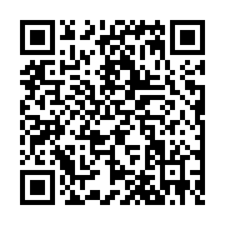 QR code for Z425P