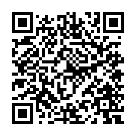 QR code for Z450E