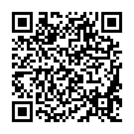QR code for Z451M