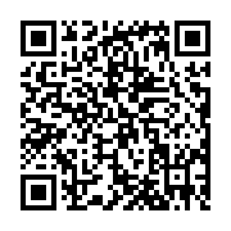 QR code for Z461Y