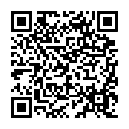 QR code for Z463D