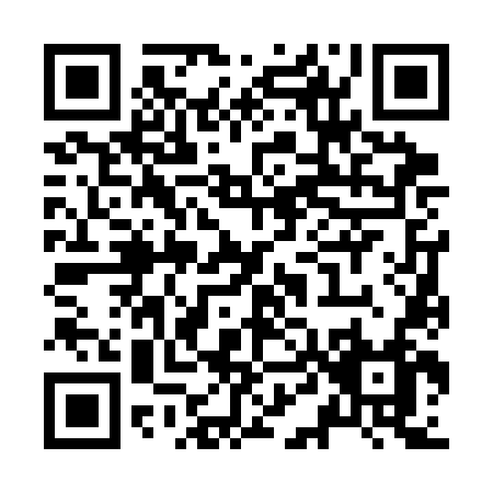 QR code for Z463N