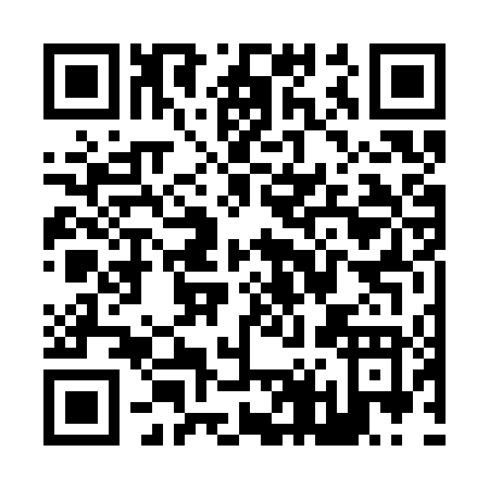 QR code for Z463T