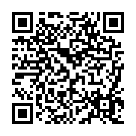 QR code for Z481T