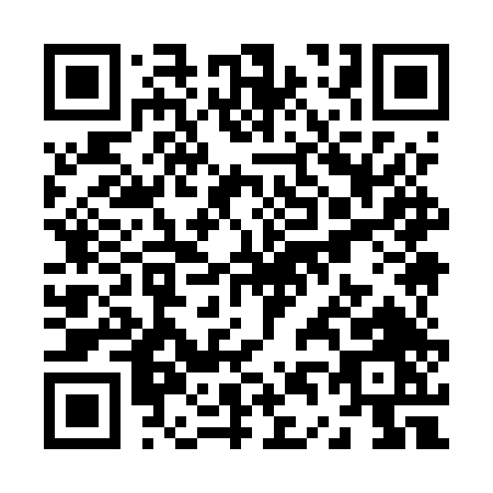 QR code for Z495T