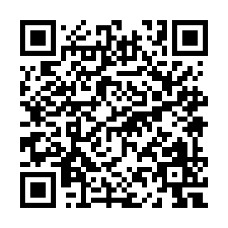 QR code for Z496I