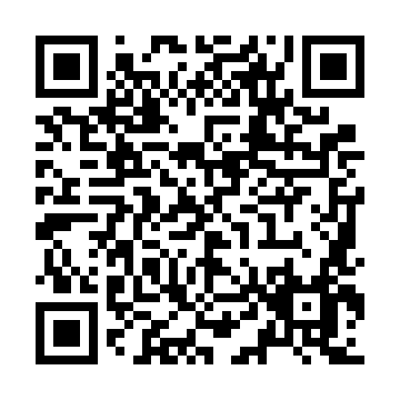 QR code for Z496L