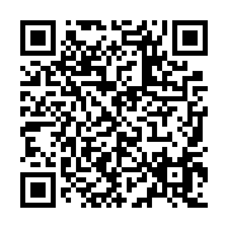 QR code for Z496Q