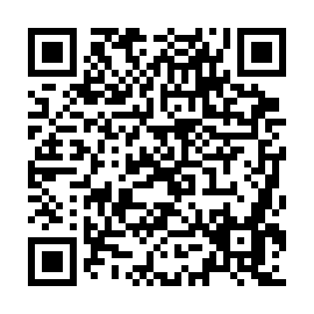 QR code for Z503O