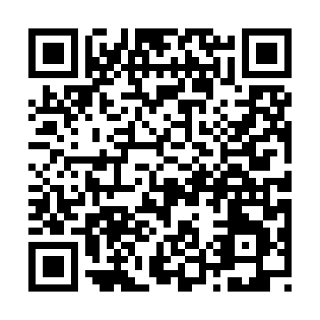 QR code for Z509L