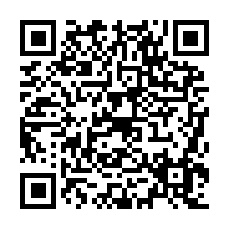 QR code for Z509N