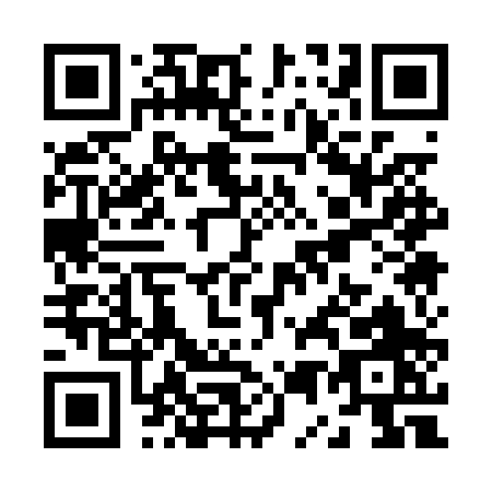 QR code for Z510P