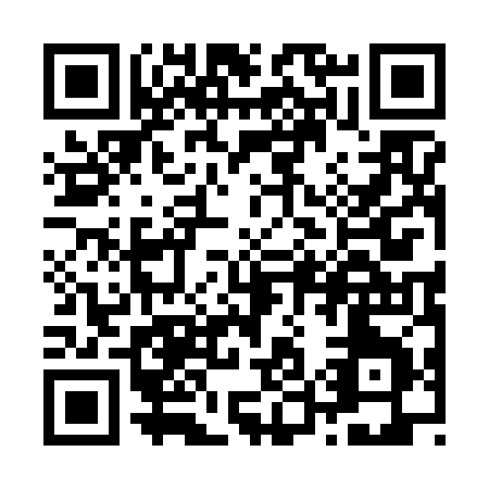 QR code for Z516J