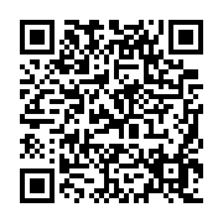 QR code for Z517T