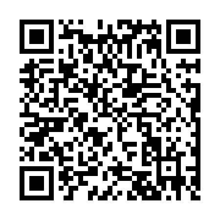 QR code for Z528N
