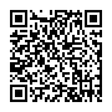 QR code for Z528T