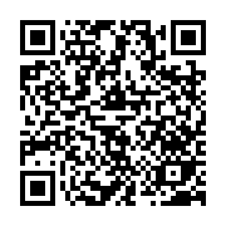 QR code for Z533B