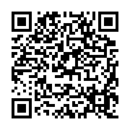 QR code for Z533T