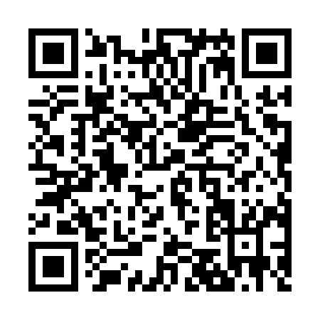 QR code for Z541Y