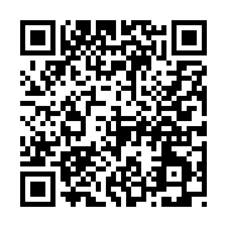 QR code for Z541Z