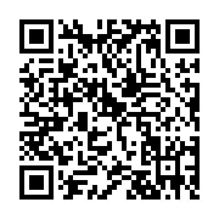 QR code for Z551A