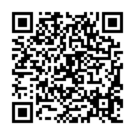 QR code for Z551T