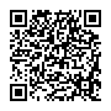 QR code for Z553G
