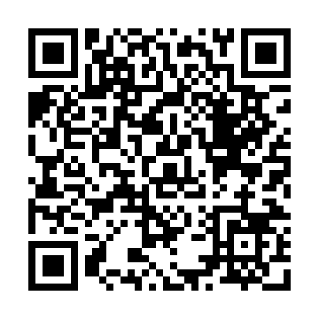 QR code for Z581N