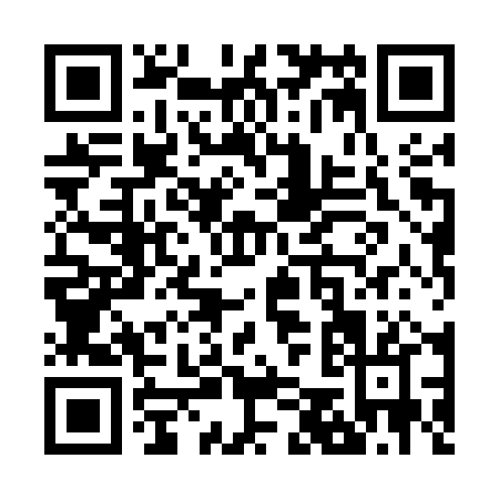QR code for Z585P