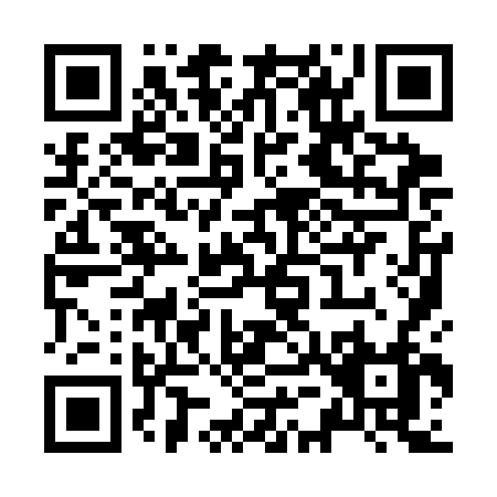 QR code for Z593F