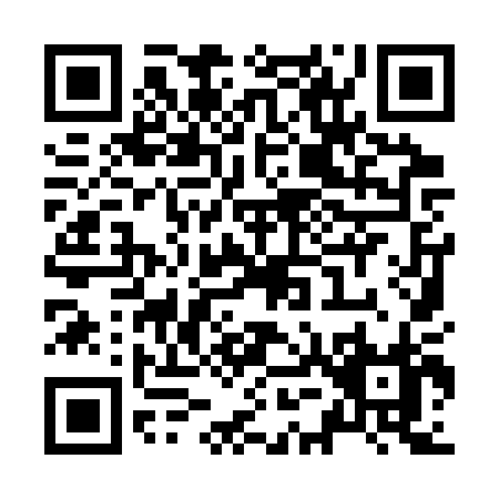 QR code for Z593P