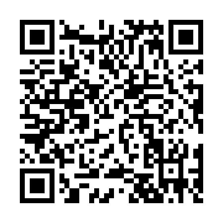 QR code for Z595C