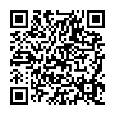 QR code for Z599F
