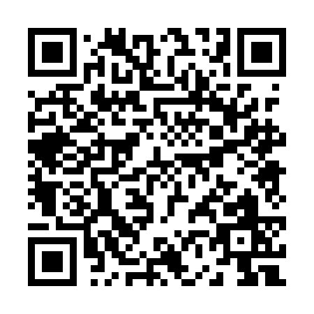 QR code for Z601C
