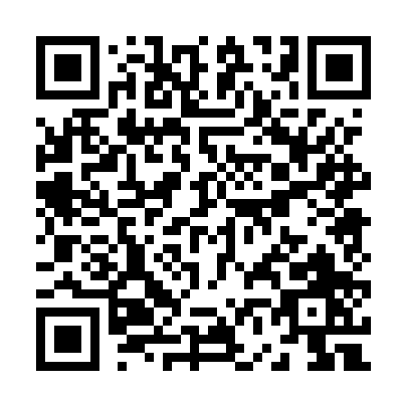 QR code for Z605P