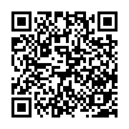 QR code for Z607S