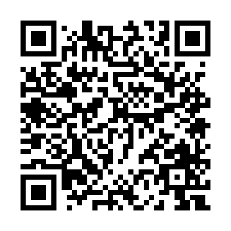 QR code for Z611X