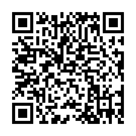 QR code for Z613D