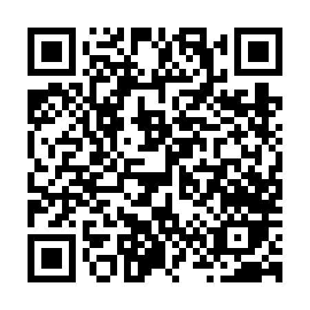 QR code for Z616L