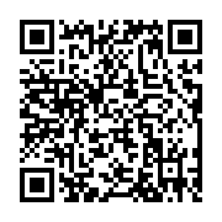 QR code for Z631W