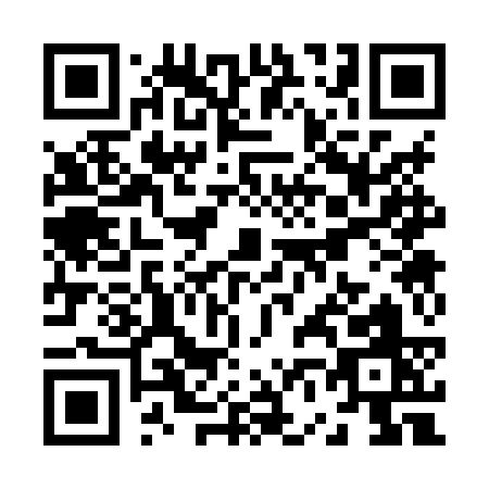 QR code for Z638S