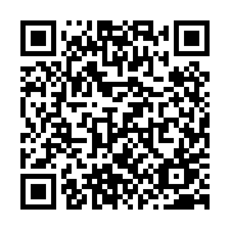 QR code for Z650PT