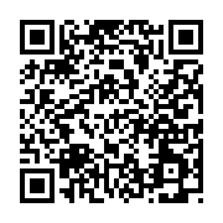 QR code for Z653H