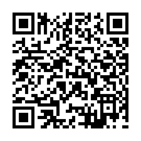 QR code for Z653P